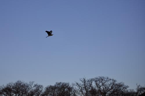 ����� ��� �����