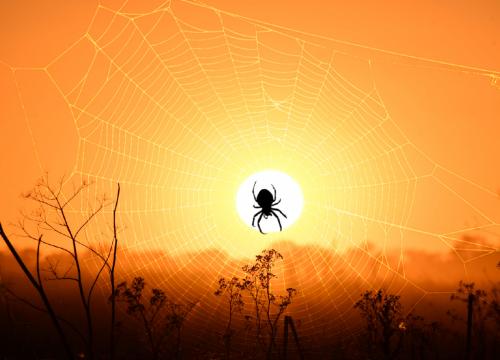 ������ � �����