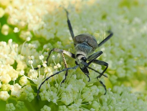 �� ������ ��� � ���� �����������