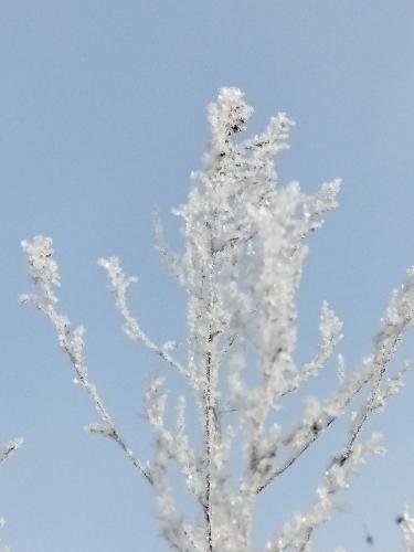 �������� �����