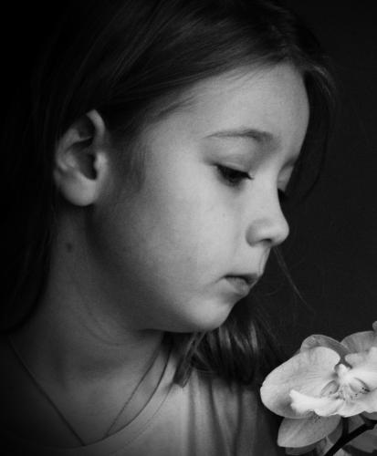 ������� ������� � �������