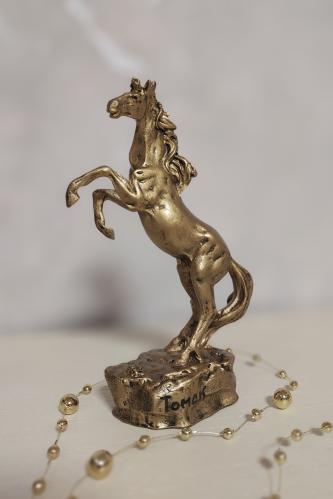 ���������� ����