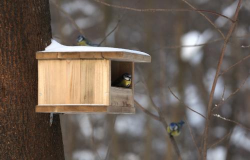 ������ �������� �����