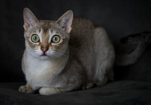 ������������ �����