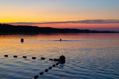 ������ ����� �� �������