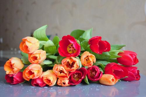 ��������