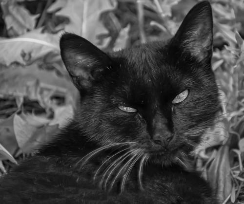 ������, ������� ��������� � ����