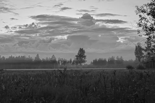 ������� � �����-����� ��������