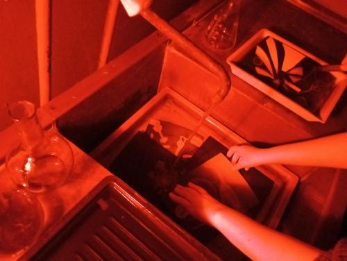 � ���������������