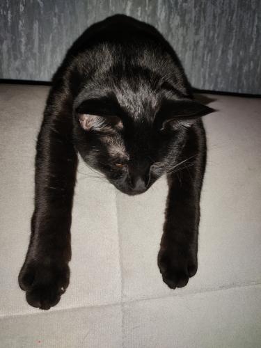 ������� ...