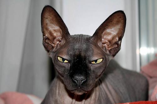 ��� ������.