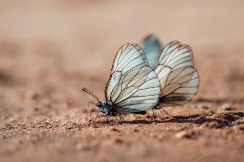 �������