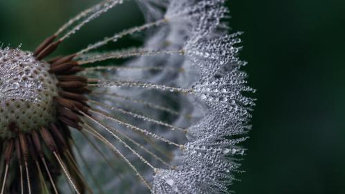 ��������� � ��������� ����...