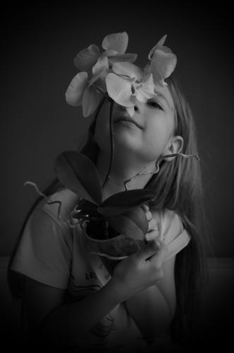 ��� ��������