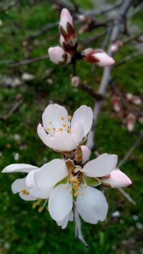 ������� ���������