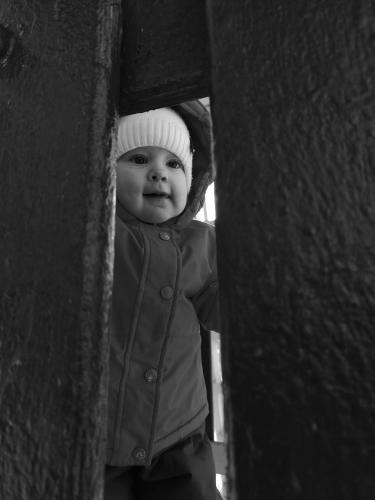 �� ��������