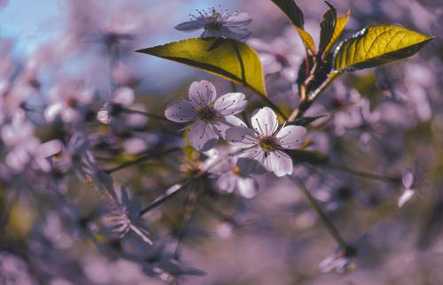 �� ����� ������� �����.