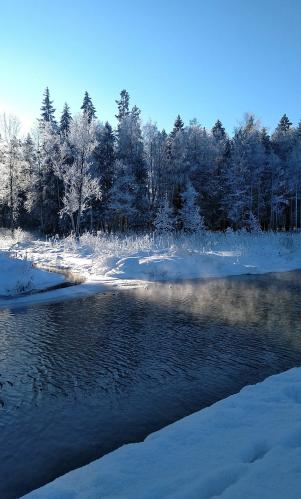 �������� ����