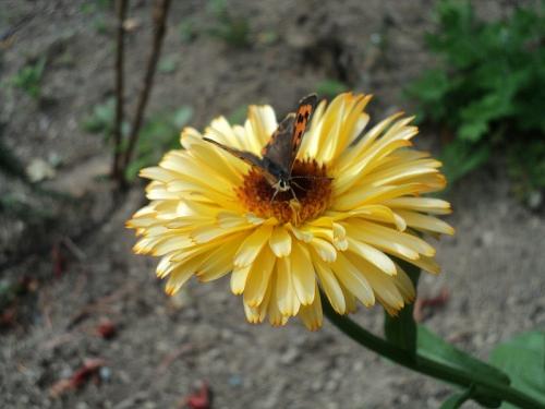 �������