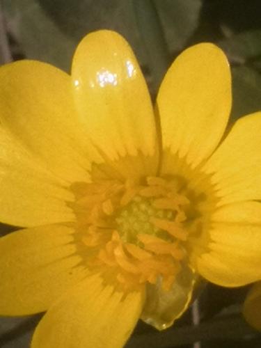 �������� �����