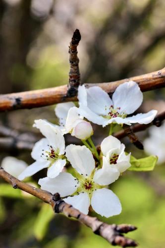 ����� ��������� ������ ������ ������