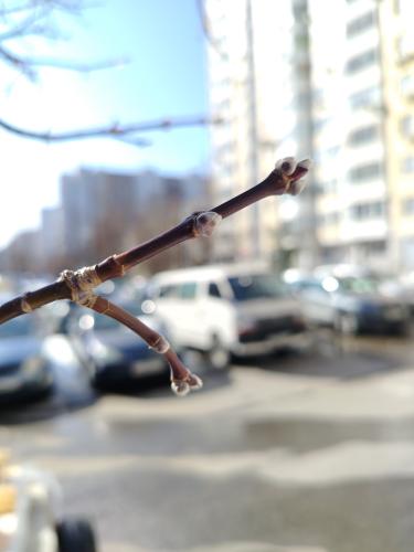 ����� ����