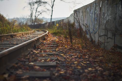 ˸�� �� �������