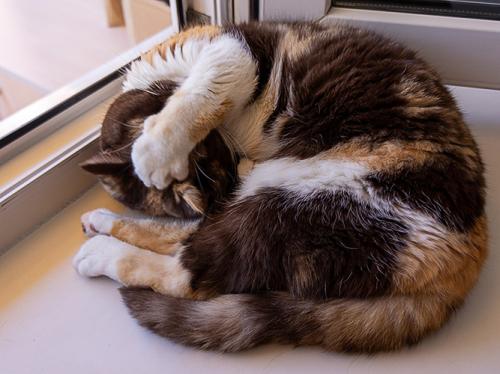 �� ���� ���� ���������������!