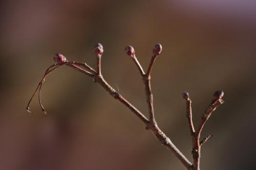 ��������� �������. 