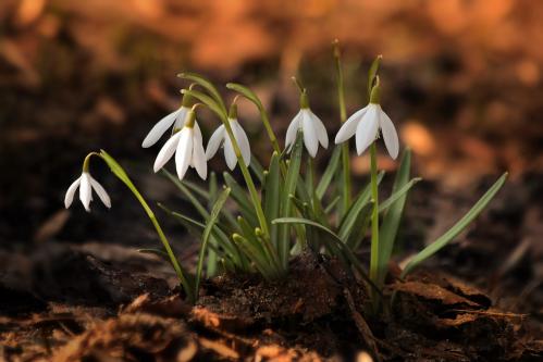 � ��������� ������. 