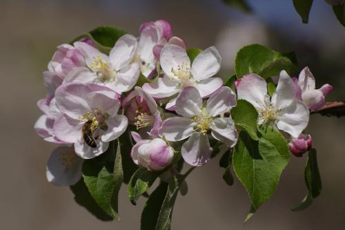 ��������� ����