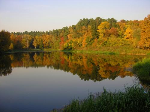 ����� � �������������