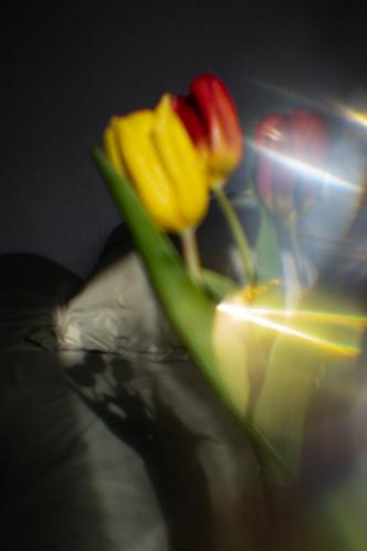 ���� � ���� �����