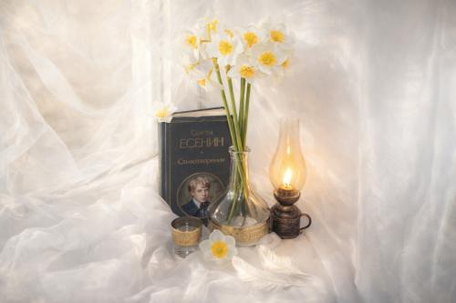 �������� ��������� ������ 