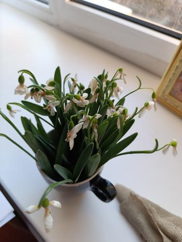 ������������