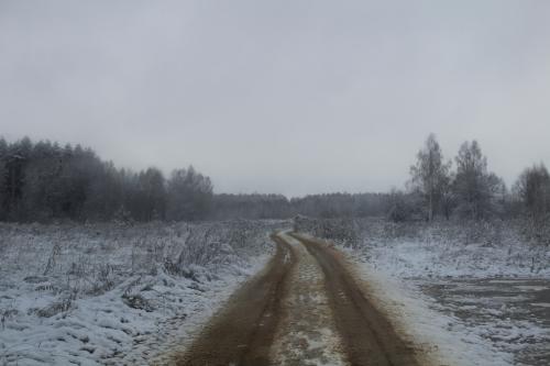 ���� ������