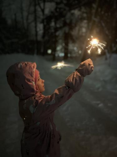 � �������� ����.