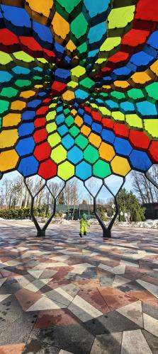 ����� �����