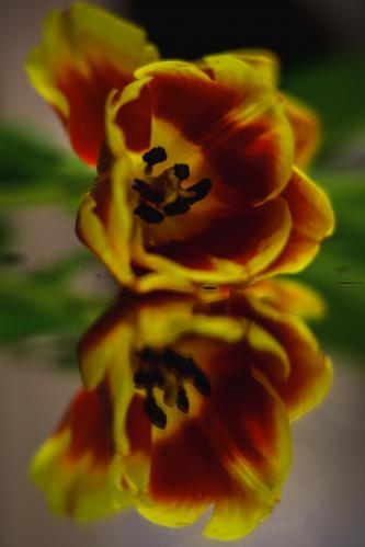 �������