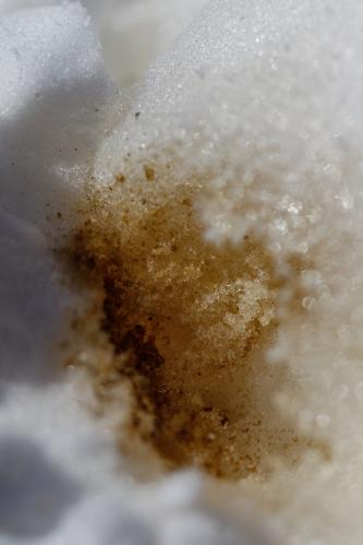 ����� � ����