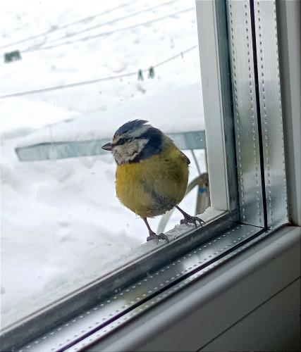 ���������� ������