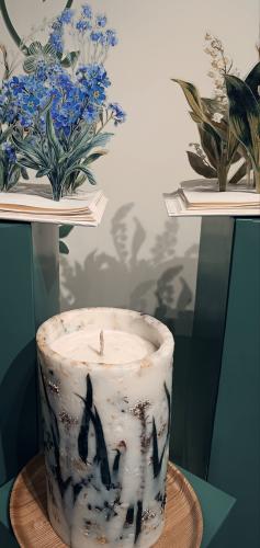 ���������� ����� 