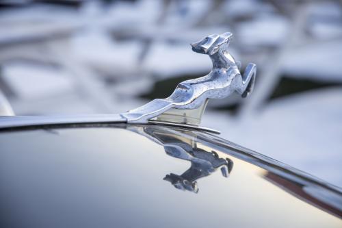 ����� �����