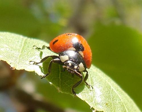 ��� � �����