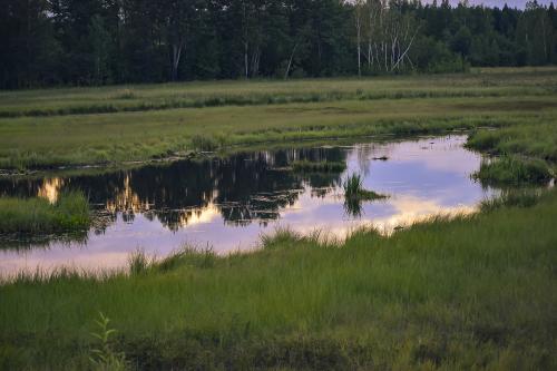 ����� � �������� ����