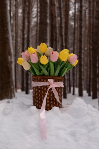 �������� ����������