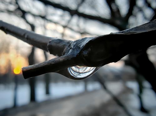 ��� �����