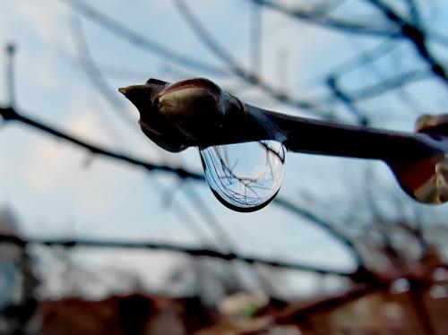 ����� �����