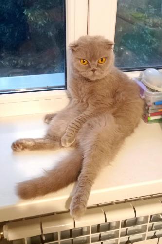 ����� �����