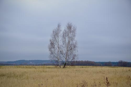 ���� � ����